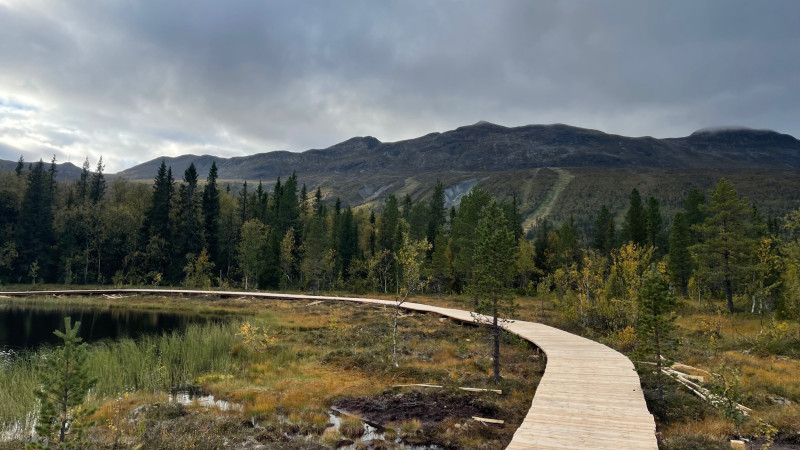 Det är bara tillsammans som vi kan lyckas! Vi tror på att jobba i en samverkansorganisation där alla är delaktiga och anser att alla på orten är beroende av och gynnas av en året runt destination. Om vi alla bidrar kan vi tillsammans skapa en levande bygd året runt.
